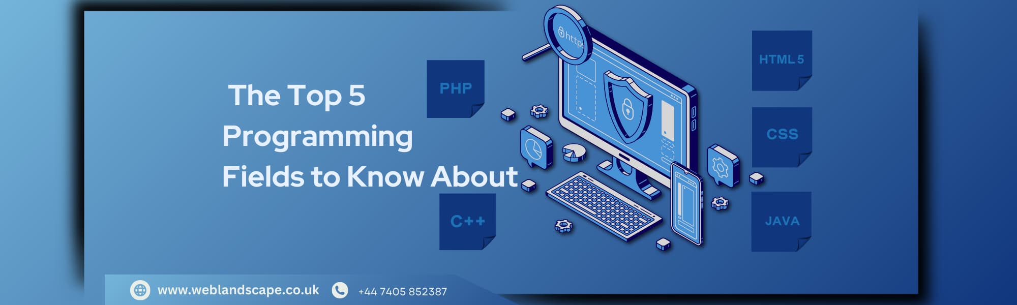 The Top 5 Programming Fields to Know About
