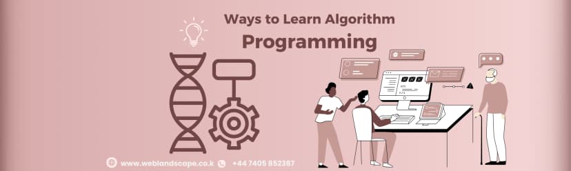 Ways to Learn Algorithm Programming